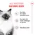Royal Canin Kitten Royal Canin Kitten