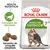 Royal Canin Active Life Outdoor 7+, imagem de embalagem com gato, croquetes visíveis, textos: Health Nutrition, Complexo de vitalidade, Tamanho do croquete adaptado.