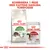Royal Canin Active Life Outdoor torrfoder och Royal Canin Instinctive våtfoder 85 g. Text: Kombinera 1 påse med kattens dagliga torrfoder.