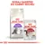 ROYAL CANIN Regular Sensible 33 karma sucha i ROYAL CANIN Instinctive saszetka 85 g dla kotów. Napis: Dodaj saszetkę do karmy suchej.