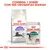 Royal Canin Regular Sterilised 7+ pienso para gatos y Royal Canin Instinctive 7+ sobre de salsa, texto: Combina 1 sobre con sus croquetas diarias.