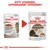 Royal Canin Ageing +12 i Gelé