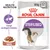 Royal Canin STERILISED kattefoder i sovs, 85 g x 12. Vægt vedligeholdelse. HEALTH NUTRITION. Billede af kat og foderstykker i sovs.