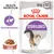Royal Canin Sterilised kattenvoer in saus, gewichtsbeheersing, 85g x12. Afbeelding van kat en portie natvoer. Tekst: Health Nutrition, Gewichtsbeheersing, Saus. Royal Canin Sterilised kattenvoer in saus, gewichtsbeheersing, 85g x12. Afbeelding van kat en portie natvoer. Tekst: Health Nutrition, Gewichtsbeheersing, Saus.
