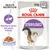 Royal Canin Sterilised, 85 g x12, alimento in gelatina per gatti sterilizzati. Mantenimento del peso ideale. Immagine di un gatto e ciotola con bocconcini in gelatina. Royal Canin Sterilised, 85 g x12, alimento in gelatina per gatti sterilizzati. Mantenimento del peso ideale. Immagine di un gatto e ciotola con bocconcini in gelatina.