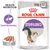 Royal Canin Sterilised kattenvoer, 85g x12. Paté. Gewichtsbeheersing. Health Nutrition. Royal Canin Sterilised kattenvoer, 85g x12. Paté. Gewichtsbeheersing. Health Nutrition.