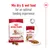 Instructional image showing to mix dry and wet food for an optimal feeding experience, with two Royal Canin medium ageing products and a plus sign between them.