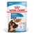 Royal Canin Maxi Puppy umido in salsa per cane