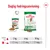 Daglig fodringsanvisning for Royal Canin Mini Adult: 2 kg hund – 1 pose + 27 g, 6 kg – 1 pose + 87 g, 10 kg – 1 pose + 138 g. Billede af våd- og tørfoderpakker.