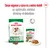 Royal Canin mini ageing 12+ száraz és nedves eledel csomagolás, felirat: Etess vegyesen a száraz és a nedves eledelt az optimális etetési élmény érdekében
