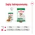 Daglig fodringsanvisning for Royal Canin Mini Ageing 12+: 2 kg hund – 1 pose + 27 g, 6 kg – 1 pose + 89 g, 10 kg – 1 pose + 140 g. Billede af våd- og tørfoderpakker.