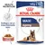 Royal Canin Maxi Ageing 8+, confezione da 10 buste da 140 g, salsa. Sostegno ad un invecchiamento sano. Immagine di cane pastore tedesco adulto.