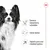 Sistema inmunitario saludable, salud dental y soporte para una vitalidad óptima. Texto junto a la imagen de un perro pequeño de pelo largo en blanco y negro.