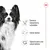 Sistema inmunitario saludable, salud dental y soporte para una salud óptima. Texto junto a la imagen de un perro pequeño en blanco y negro. Marca Royal Canin visible arriba a la derecha.
