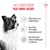 Royal Canin X-Small Puppy i saus Royal Canin X-Small Puppy i saus