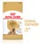 Sac de croquettes ROYAL CANIN Adult German Shepherd 5+ ans, texte visible : Healthy Ageing Complex, Joint Function Support, illustration d’un Berger Allemand.