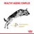 Healthy Ageing Complex with joint function support, shown by a leaping dog and an icon highlighting joint care benefits.