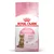 Royal Canin Kitten Sterilised 6–12 months, afbeelding van kitten op de verpakking. Tekst: strong immune system, growth & weight control, antioxidantenmix.