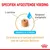 Specifiek afgestemde voeding. L-carnitine, aangepast eiwitgehalte. Gemakkelijk te weken. De brokvorm is speciaal ontwikkeld voor de Labrador Retriever.