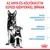 Az anya és kölyökkutya egyedi igényekkel bírnak. Magas energiatartalom szükséglet, törékeny immunrendszer, érzékeny emésztőrendszer. Royal Canin márkajelzés.
