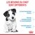 Les besoins du chiot sont différents : système immunitaire fragile, période d’apprentissage et d’entraînement, système digestif sensible. Marque Royal Canin visible.