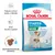 Balení Royal Canin Starter Mother & Babydog Mini 1–2 months, podpora zdraví matky a štěněte, silný imunitní systém, rehydratovatelné granule, obrázek dvou psů.