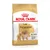 Embalagem de ração Royal Canin Adult Pomeranian, com imagem de um cão da raça Pomeranian e texto visível: 'Over 8 months old - A partir de 8 meses'.