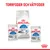 Royal Canin Indoor 7+ torrfoder och våtfoder för katt, synliga förpackningar med texten 'INDOOR 7+', 'STERILISED', samt bild på katt. Rubrik: TORRFODER OCH VÅTFODER.