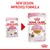 Comparison of old and new Royal Canin Kitten food packaging, showing updated design and improved formula for kittens up to 12 months. Text: 'New design, improved formula'.