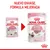 ROYAL CANIN KITTEN, nuevo envase y fórmula mejorada. Dos sobres de 85 g para gatitos hasta 12 meses. Texto visible: 'No preservatives', 'In loaf in sauce', 'Stage 3'.