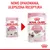 Nowe opakowanie karmy Royal Canin Kitten 85 g, ulepszona receptura. Widoczne dwa warianty saszetek z kotem i napisem 'Up to 12 months'.