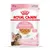 Sachet Royal Canin Kitten Sterilised 85 g, bouchées en gelée pour chaton stérilisé 6–12 mois, sans conservateurs, texte en anglais et espagnol visible sur l’emballage.