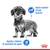 Perro con dos textos: 'Ayuda a mantener la masa muscular' y 'Ayuda a limitar el aumento de peso'. Iconos de perro y calorías. Logotipo de Royal Canin en la esquina inferior derecha.