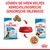 Royal Canin Puppy Maxi für Welpen von 2-15 Monaten. Trockenfutter und Nassfutter für sensorische Abwechslung. Rote Futterschale mit Futterabbildungen.