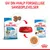 Royal Canin Puppy Mini 2–10 months tørfoder og vådfoder, begge med synligt mærke og produktnavn. Skål med foder i midten. Tekst: Giv din hvalp forskellige sanseoplevelser.