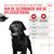 Royal Canin Digestion Adult Supplement Kauwsnacks