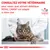CONSULTEZ VOTRE VÉTÉRINAIRE pour savoir quel aliment diététique ROYAL CANIN® est adapté à votre chat. VETERINARY NUTRITION. Chat devant un vétérinaire en blouse blanche.