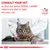 Consult your vet to find out which Royal Canin veterinary diet is right for your cat. Veterinary Nutrition logo shown above a cat being examined by a vet.