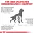 Grafik mit Text: Für einen spezifischen Ernährungszweck konzipiert. Hunde mit Gelenkbeschwerden haben weniger Freude am Spielen. Gelenkknorpel neigen zu Verschleiss, was Schmerzen verursachen kann.