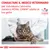 CONSULTARE IL MEDICO VETERINARIO per individuare l’alimento dietetico ROYAL CANIN adatto al tuo gatto. VETERINARY NUTRITION. Gatto su tavolo con veterinario.