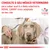 Consulte o seu médico veterinário para saber qual é a dieta veterinária ROYAL CANIN mais adaptada ao seu cão. VETERINARY NUTRITION.