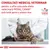 CONSULTAȚI MEDICUL VETERINAR pentru a afla care este dieta veterinară ROYAL CANIN potrivită pentru pisica dvs. VETERINARY NUTRITION. Imagine cu o pisică la veterinar.