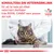 KONSULTERA DIN VETERINÄRKLINIK för att ta reda på vilket veterinärt dietfoder från ROYAL CANIN som passar din katt. VETERINARY NUTRITION.