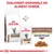 Royal Canin Gastrointestinal Fibre Response pour chats, croquettes et aliment humide bouchées en sauce. Texte visible : ÉGALEMENT DISPONIBLE EN ALIMENT HUMIDE.