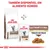 Royal Canin Gastrointestinal Fibre Response para gatos, disponível em seco e húmido. Texto: 'Também disponível em alimento húmido', 'Pedaços com molho'.