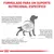 Formulado para um suporte nutricional específico. Texto: função digestiva deficiente impede absorção de nutrientes; vómitos, diarreia ou fezes moles são sinais comuns; alguns cães precisam de mais fibra. Formulado para um suporte nutricional específico. Texto: função digestiva deficiente impede absorção de nutrientes; vómitos, diarreia ou fezes moles são sinais comuns; alguns cães precisam de mais fibra.