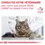 Consultez votre vétérinaire pour savoir quel aliment ROYAL CANIN est adapté à votre chat. VETERINARY NUTRITION.