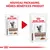 NOUVEAU PACKAGING, MÊMES BÉNÉFICES PRODUIT. Deux sachets Royal Canin Veterinary Gastrointestinal Moderate Calorie Thin Slices in Gravy pour chat, ancien et nouveau design.