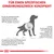 Grafik mit Text: Für einen spezifischen Ernährungszweck konzipiert. Hinweise zu Leberfunktion, Kupferspeicherung und Nährstoff-Metabolismus bei Hunden. Royal Canin Logo unten.