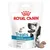 Royal Canin Vet Hypoallergenic + 3 x 230 g Hypoallergenic Snacks grátis! Royal Canin Vet Hypoallergenic + 3 x 230 g Hypoallergenic Snacks grátis!